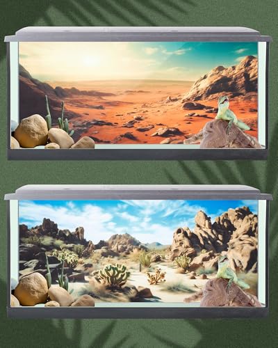 Breling 4 Pcs 48 x 18 Inch Reptile Habitat Background with Nano Glue Gobi Sun Cactus Stone and Green Tree Fern Stream Terrarium Background Polyester Durable Aquarium Accessories - color: Style1, size: 18 x 48 Inch