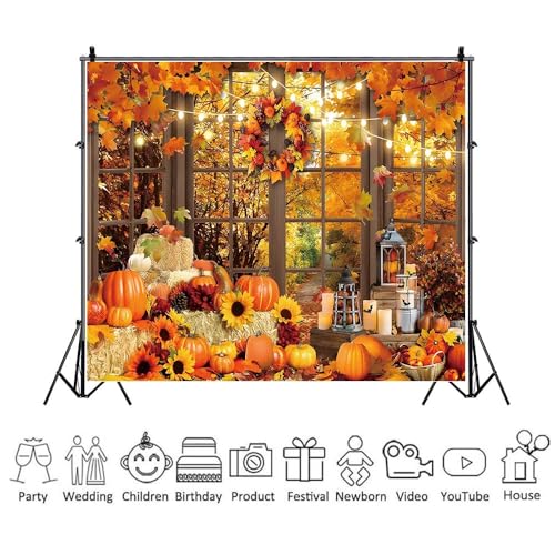 Fall Backdrop Fabric 10x8ft Autumn Scenery Through French Window Photo Background for Photography Fall Festival Thanksgiving Day Backdrop Portrait Shoot Studio Photo Booth Props - color: Fall Window 01