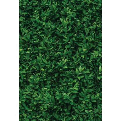 Main Street Peel and Stick Wallpaper Eco-Friendly Sheets 12 Pack, 11 X 16 Inch Plant Wall Design, Wall Mural for Home Decor, Removable Wall Decor Wallpaper Peel and Stick for DIY Projects - style: Plant Wall Design