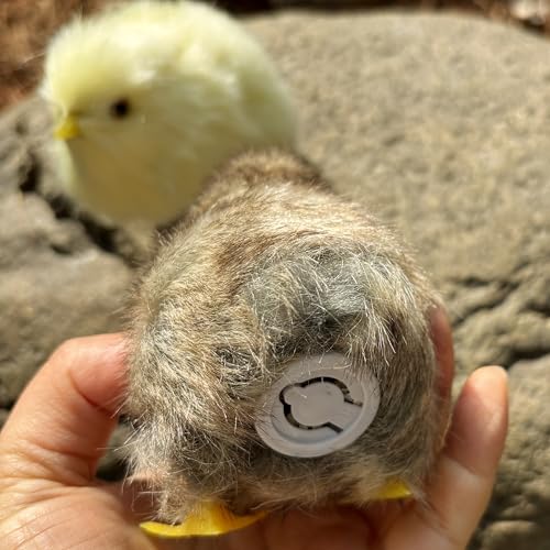 2 x Realistic Fluffy Baby Chickies Decor Set - Lifelike Spring Chickens & Fuzzball Easter Tabletop Decorations, Farmhouse Photo Props, Basket Fillers, Home Ornaments