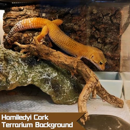 Hamiledyi Cork Terrarium Background 11.8x7.9in 6PCS Natural Reptile Cork Bark Flats Terrarium Board Bearded Dragon Climbing Wall Mat Tank Decor for Lizard Chamelon Snake Turtle Spider Crested Gecko - size: 6PCS-11.8x7.9in