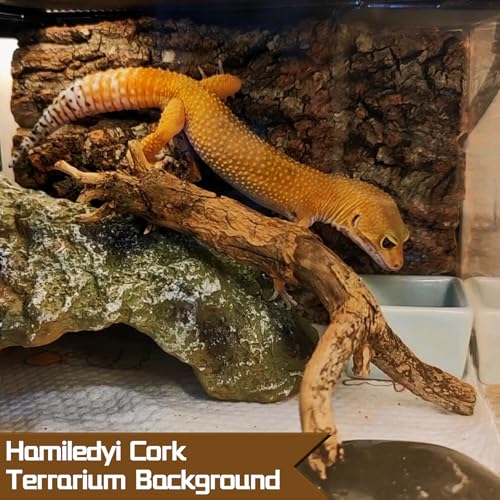 Hamiledyi Cork Terrarium Background 11.8x7.9in 4PCS Natural Reptile Cork Bark Flats Terrarium Board Bearded Dragon Climbing Wall Mat Tank Decor for Lizard Chamelon Snake Turtle Spider Crested Gecko - size: 4PCS-11.8x7.9in