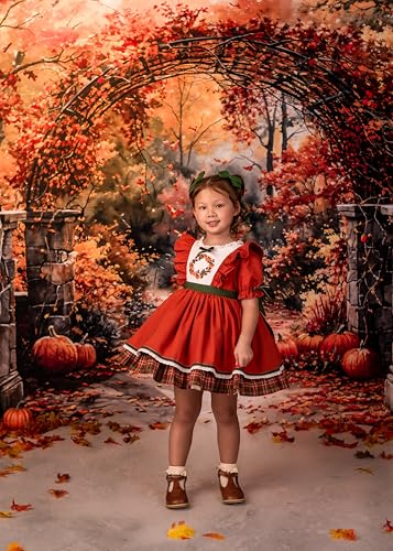 Kate Autumn Stone Arch Backdrops Pumpkin Photo Backdrop Fall Leaves Scenery Photography Backdrops for Seasonal Party Photo Studio Props, 10x6.5ft - size: 10x6.5ft