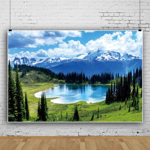 YongFoto Outdoor Nature Scenery Backdrop 7x5ft Lake Mountains Forest Pine Blue Sky Spring Photography Background Party Banner Room Decor Travel Portraits Photoshoot Wallpaper Photo Studio Props - color: Style 5, size: 7ftx5ft