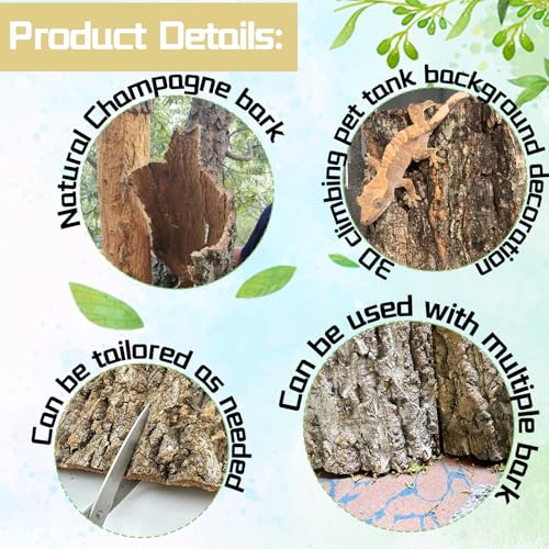 Hamiledyi 6PCS Cork Terrarium Background 15.7x11.8in Natural Large Cork Bark Backdrop Reptile Climbing Mat Tank Habitat Decor for Spider Lizard Chamelon Turtle Beared Dragon - size: 6PCS-15.7x11.8in
