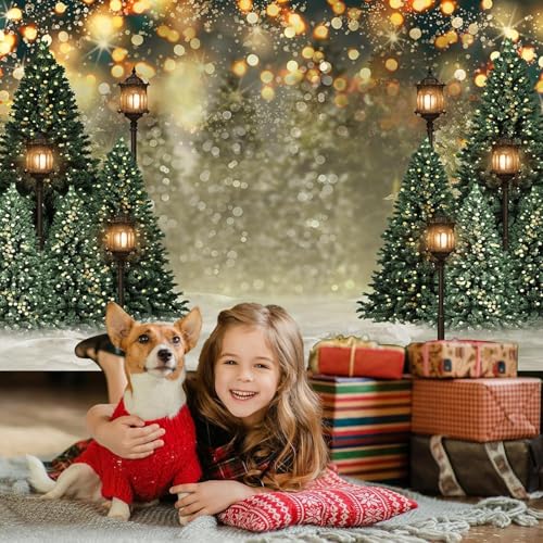 Mocsicka Winter Forest Landscape Backdrop Snowy Christmas Pine Tree Halo Spots Photography Background Winter Wonderland Forest Family Party Wall Decoration Photo Studio Props (8x10ft) - size: 8x10ft