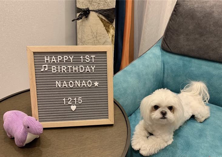 Felt Board Felt Letter Board, 10 x 10 inch Message Board Word Board Letter Board Sign Bulletin Board Letters, Pregnancy Announcements Baby Announcement Sign, Valentines Day Gifts for Her Letterboard (Gray) - color: Gray