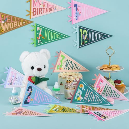 VitalCozy 14 Pcs Baby Milestone Pennant Signs Monthly Milestone Banner Flags Pennant Triangle Banner Age Flag Signs for Boy Girl Newborn Birthday Party Decor(Flower) - color: Flower