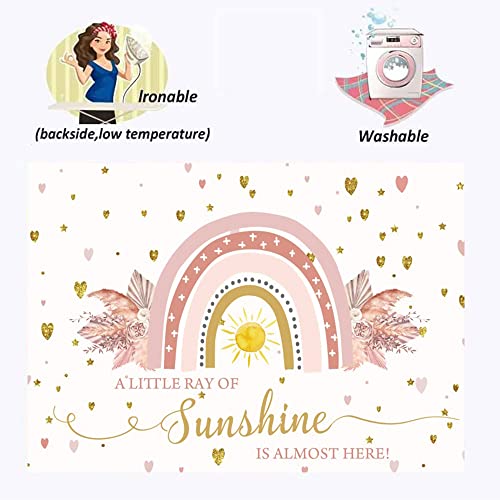 Boho Rainbow Baby Shower Backdrop 8x6ft A Little Ray of Sunshine is Almost Here Boho Pampas Baby Shower Party for Girl Cake Table Background Kids Artistic Portrait Photo Studio Booth Props - size: 8x6ft