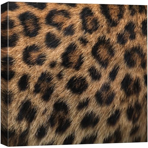wall26 - Canvas Prints Wall Art - Canvas Prints Wall Art - Leopard Fur/Skin Texture - 12"x12" - color: 03. Leopard Pattern, size: 12"L x 12"W