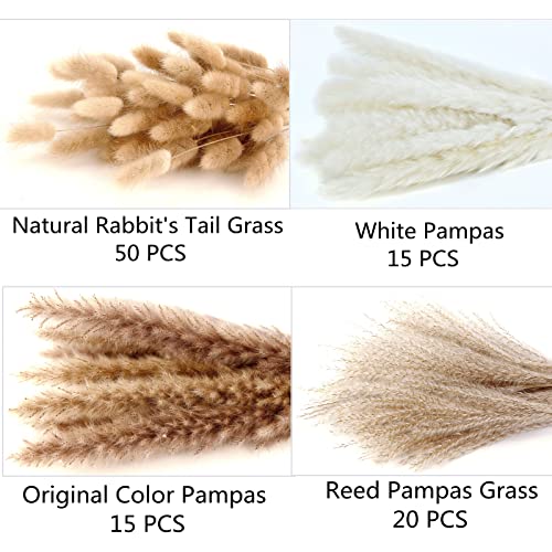 Dried Pampas Grass Decor, 100 Stems Pampas Grass Contains Bunny Tails Dried Flowers, Reed Grass Bouquet for Wedding Boho Flowers Home Table Decor, Rustic Farmhouse Party (17", White and Brown) - size: 100pcs