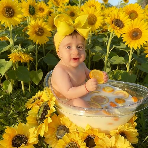 Milk Bath Tub for Baby Photography - Clear Acrylic Oval Photo Prop Tub, 18.8" × 13.7" × 10.8", Curved Rim & Wide Base for Newborn & Sitter Sessions, Photographers & Parents