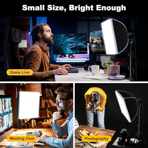 LINCO Lincostore Softbox Photography Lighting Kit 16'' x 16'' Professional Softbox Lighting Kit with 85W 3000-6500K LED Bulbs, Studio Lights for Photography/Video Recording/Live Streaming AM319