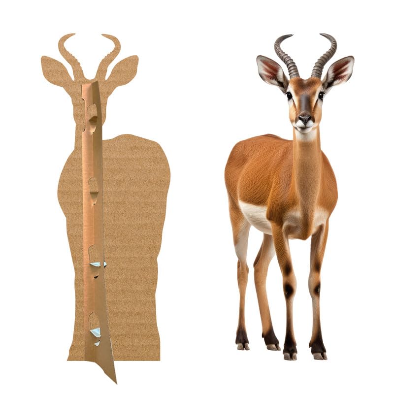 Deer - Life Size Cardboard Cutout Standup People with Support Standee | Animals - - color: Deer