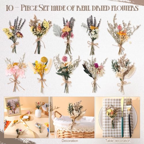 Nuanchu 10 Pcs Mini Dried Flower Bouquet Mixed Natural Dried Flowers with Stem Boho Plant Stem Bunch for DIY Craft Card Home Party Photo Props Wedding Decor, 5 to 6 inches(Popular Styles) - style: Popular Styles