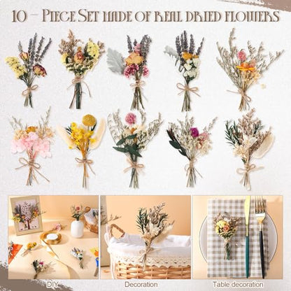 Nuanchu 10 Pcs Mini Dried Flower Bouquet Mixed Natural Dried Flowers with Stem Boho Plant Stem Bunch for DIY Craft Card Home Party Photo Props Wedding Decor, 5 to 6 inches(Popular Styles) - style: Popular Styles