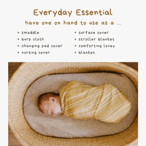 Mini Wander Swaddles for Newborns Muslin Swaddle Blankets - Breathable Soft Gender Neutral Receiving Blanket Baby Essentials | 47 x 47 Cotton - (Terrain (Citrus) - color: Terrain (Citrus)