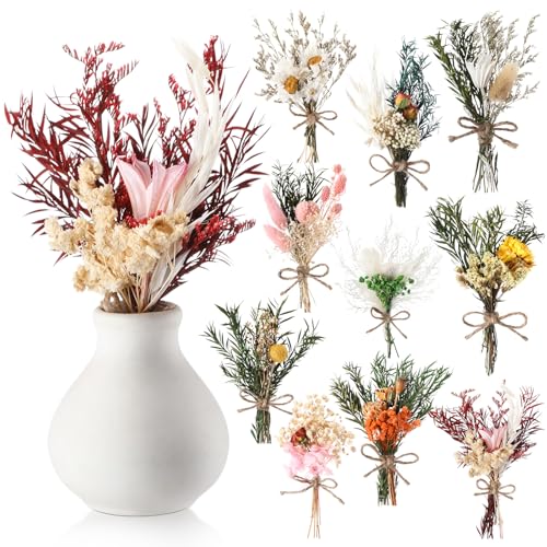Nuanchu 10 Pcs Mini Dried Flower Bouquet Mixed Natural Dried Flowers with Stem Boho Plant Stem Bunch for DIY Craft Card Home Party Photo Props Wedding Decor, 5 to 6 inches(Classic Styles) - style: Classic Styles