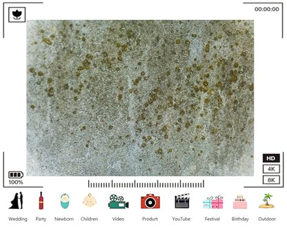 Trykid 5x3ft Mossy Lichen Rough Stone Texture Backdrop Natural Pattern Surface Scene Photography Background Textured Detail Tapestry Party Decoration Photo Booth Prop Fabric - size: 5x3ft