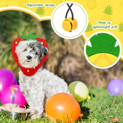 Huhumy 5 Pcs Felt Pet Costume Headband Adjustable Pet Fruit Shaped Hat Headgear Costume Decoration Headgear Dog Photo Booth Props with Elastic Cord for Dog Cat Puppy Theme Party Holiday Decor(Small)