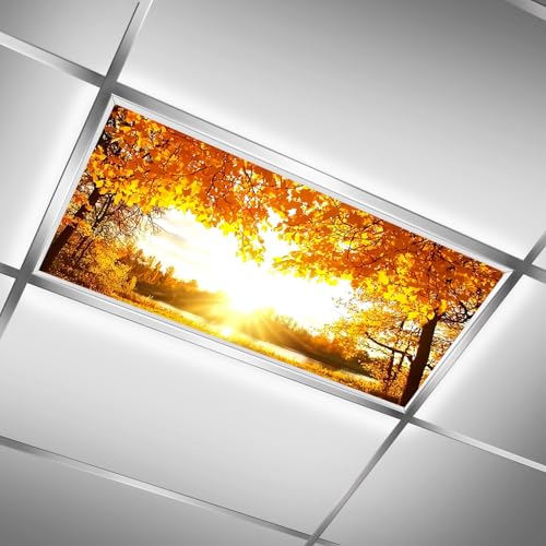 Fluorescent Light Covers for Classroom Ceiling Lights – 2x4ft Backlit Film for Fluorescent Fixtures, Reduce Glare and Eye Strain, Easy to Install – School, Office, Sensory -Golden Branches - color: Golden Branches（1）