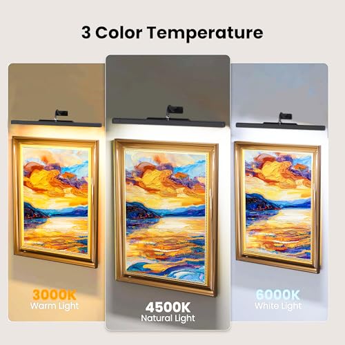 24Inch Picture Lights Battery Powered 6000mAh -3 Pack Black Wireless Remote Control Sconces for Gallery, Living Room, Museum & Large Wall Art - color: Black, size: 24IN-3pack