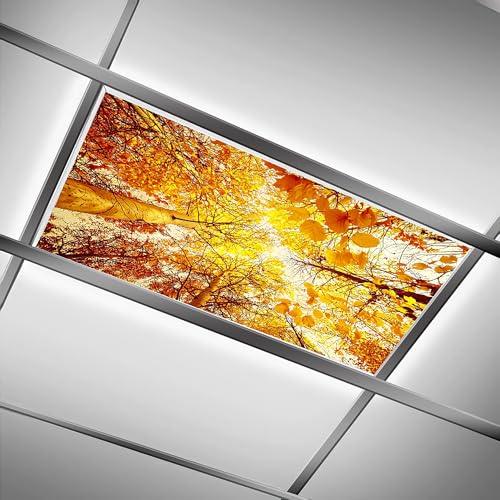 Fluorescent Light Covers for Classroom Office - 2ft x 4ft LED Light Filters, Eliminate Harsh Glare & Eyestrain, Decorative Classroom Light Covers, Light Diffuser Panel.Golden Tree - color: Golden Tree