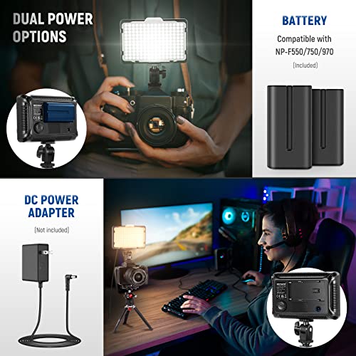 NEEWER Dimmable 176 LED Video Light Lighting Kit: 176 LED Panel 3200-5600K, 2 Pieces Rechargeable Li-ion Battery, USB Charger and Portable Durable Case for Canon, Nikon, Pentax, Sony DSLR Cameras