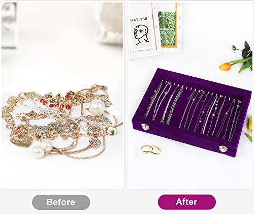 Jenseits Necklace Holder Jewelry Organizer Box, Dustproof Velvet Necklace Tray Jewelry Display With Clear Lid, Preppy Jewelry Holder, Long Necklaces Pendants Organizer, Gifts For Women Girls - Purple - color: 1-Purple