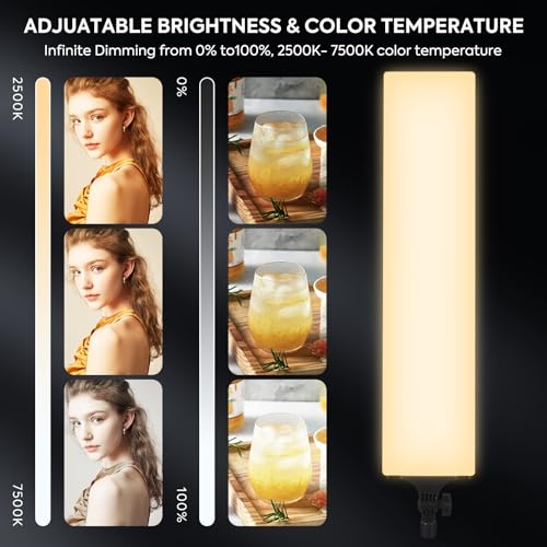 LED Video Light Kit 23.6", 2 Pack Photography Lighting 2500-7500K Dimmable Photo Studio Light 36W Streaming Light with Remote Control & Stand for YouTube TikTok Video Recording Gaming (23.6 inch)