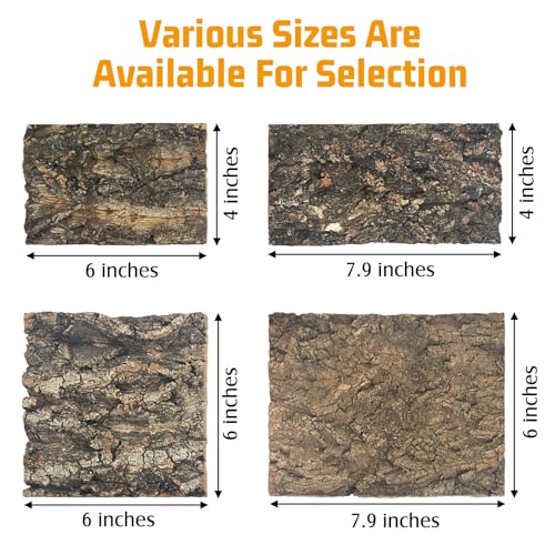 Natural Reptile Cork Bark Bedding Bearded Dragon Climbing Wall Mat 6PCS Cork Wood for Terrarium Background Decor Crested Gecko Tank Accessories for Lizard Snake Chameleon Tortoise Frog
