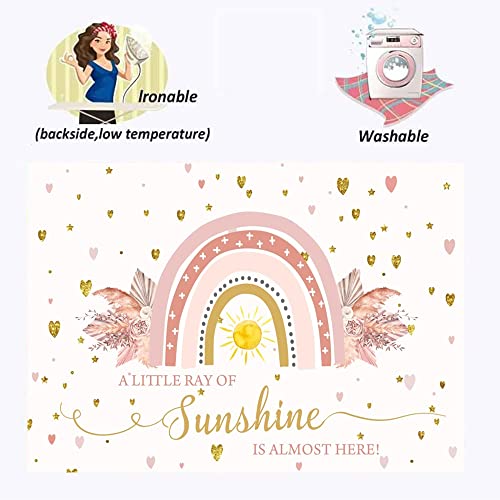 Boho Rainbow Baby Shower Backdrop 5x3ft A Little Ray of Sunshine is Almost Here Boho Pampas Baby Shower Party for Girl Cake Table Background Kids Artistic Portrait Photo Studio Booth Props - size: 5x3ft