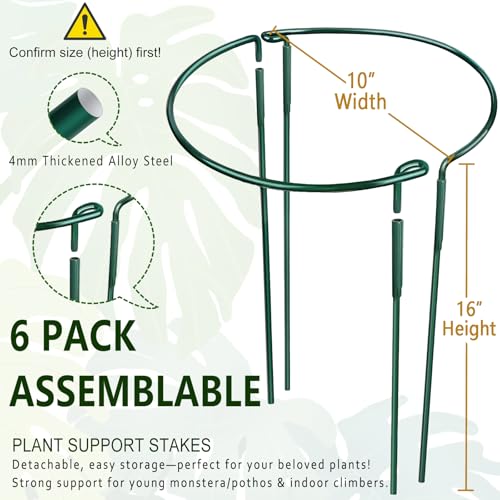6 Pack Detachable & Assemblable Metal Plant Support Stakes - Garden Support Ring, Tomato Seedling Cage, Young Monstera/Pothos for Growing Indoor/Outdoor (10" W x 16" H) - color: 10"W x 16"H