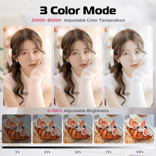 ULANZI LM19 Magnetic Selfie Light, LED Phone Ring Light for iPhone MagSafe, CRI95+ 2500K-8500K Portable Magnetic Phone Fill Lights for Selfies TikTok Video Call Makeup Photography YouTube Vlog - Black - color: Black