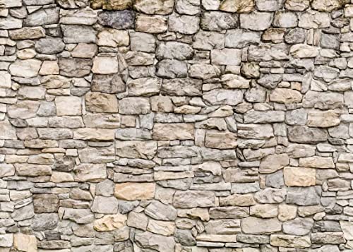 BELECO 5x3ft Fabric Grey Brick Stone Wall Photography Backdrop Rock Stones Video Conference Background Backdrop Birthday Party Decor Banner Portrait Photoshoot Home Decor Studio Photo Props Wallpaper - size: 5x3FT