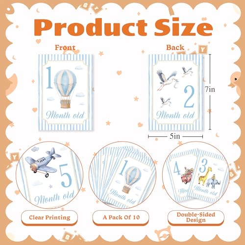 Baby Milestone Cards, 10pcs Double Sided Newborn Photo Prop, Baby Boy First Holiday, First Year Monthly Milestone Cards, Blue Pregnancy Announcement Ideas Decor Supplies(02) - style: Blue