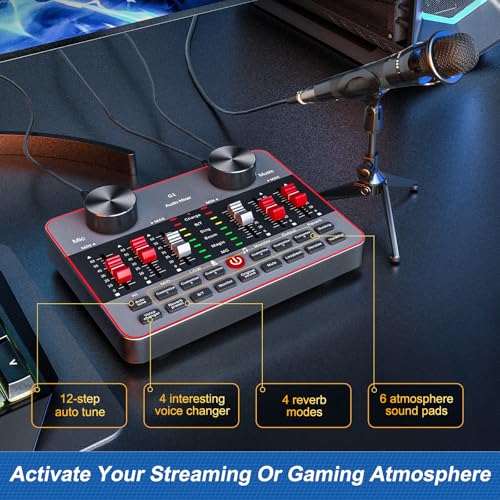 Podcast Equipment Bundle for 2 Mic Tiktok Video Content Creator Kit, Audio Interface DJ Mixer Sound Card/Board Condenser Microphone for Studio Smartphone/PC/Laptop Broadcast Recording/Live Stream