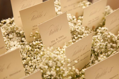 4700+ Mini Dried Babys Breath Flowers, 90+Pcs Ivory White Baby Breath Flower Bulk, Dried Flowers for Crafts, Wedding Decor Boho Invitation, Resin Candle Making, Dry Babies Flowers, Rustic Gypsophila