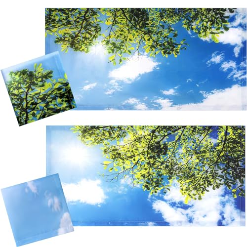 Tujoe 2 Pcs Fluorescent Light Covers for Ceiling Lights 4' x 2' Fluorescent Light Filters Classroom Magnetic Cubicle Covers for Ceiling Office, School, Home Teacher Essential(Blue Sky Leaves) - style: Blue Sky Leaves