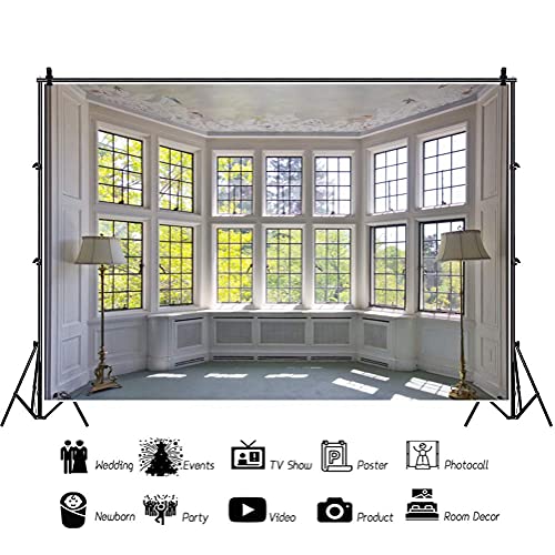 AOFOTO 5x3ft Classic French Pane Bay Windows Backdrop Luxury Retro Interior Decoration Floor Lamps Photography Background New Life Furniture Home Lifestyle Estate Modern Residence Photo Studio Props - size: 5x3ft