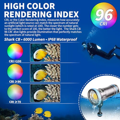 Shark CB 6000 Lumen Dive Light for Underwater Photography, 120m Underwater Video Light 96 CRI with 120 Degree Wide Beam Angle Scuba Flashlight for Professional Dive Photography Fill Light - size: Shark CB