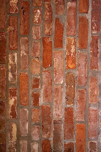 Bessie Bakes Super-Thin Red & White Brick Replicated Photography Backdrop 2 Feet Wide x 3 Feet Long