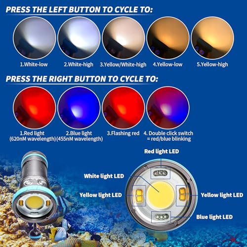 Shark CB 6000 Lumen Dive Light for Underwater Photography, 120m Underwater Video Light 96 CRI with 120 Degree Wide Beam Angle Scuba Flashlight for Professional Dive Photography Fill Light - size: Shark CB