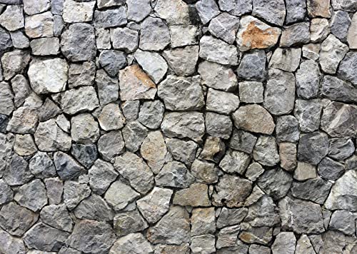 BELECO 5x4ft Fabric Vintage Brick Stone Wall Backdrop for Photography Ancient Rock Wall Textured Brick Stone Background Wallpaper Stone Wall Birthday Party Decorations Studio Booth Photo Props