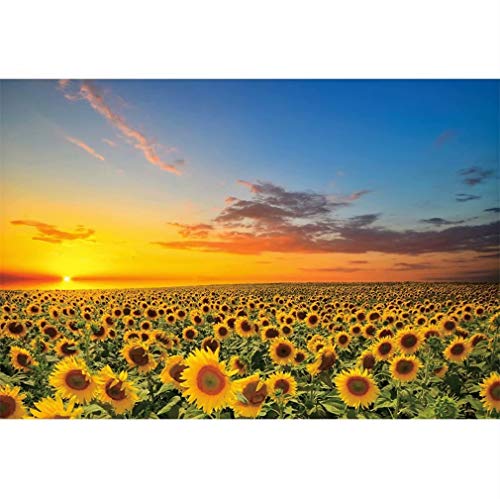 Sunflowers Field Backdrop for Photography Beautiful Rustic Sunset Yellow Florals Sky Photo Background Newborn Baby Birthday Party Supplies Boys Adults Portrait Decor Studio Props 5x3ft Vinyl - size: 5x3ft