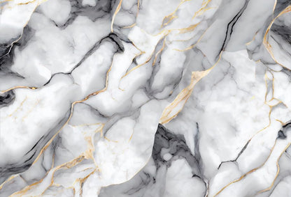 Black White Marble Photography Backdrop Luxury Abstract Modern Black and Gray Marble Gradient Art Texture Wedding Birthday Party Banner Studio Prop Decoration 10x8ft - color: Black White