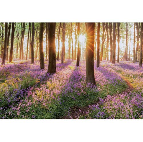 shensu Sunshine Forest Purple Flowers Backdrops for Photography Green Trees Wildflowers Outdoor Nature Scenery Photo Background Portrait Photoshoot Booth Studio Props Party Decoration,Vinyl 5x3ft - size: 5x3ft