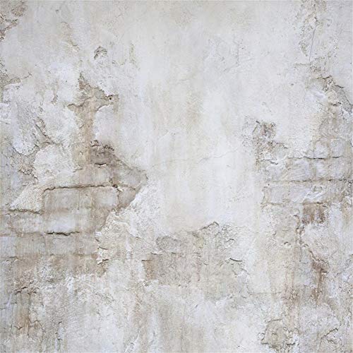 Laeacco Rock Wall Backdrop for Photography 10x10ft Rustic Grunge Stone Wall Background Antique Ingredient Retro Architecture Rough Wall Newborn Baby Shower Birthday Party Decor Photo Studio Shoot Prop - size: 10x10ft