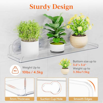 Lifewit Window Plant Floating Shelves 14.6x3.6, 2 Pack Acrylic Suction Cup Shelf, Window Sill Extender for Indoor Succulent Plants, Micro Greens, Seed Starter Pots, Herb Planters 37 x 9 cm/14.6x3.6