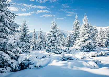 BELECO 12x10ft Fabric Winter Snow Forest Backdrop White Xmas Trees Wintry Scene Alps Photography Background for Christmas New Year Event Party Decorations Banner Holiday Photo Background Photo Props - size: 12x10FT